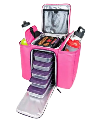 6 Pack Fitness Expert Innovator 500 6 Pack Fitness Expert Innovator 500