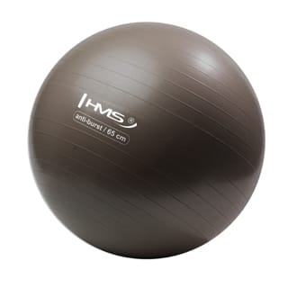 N�h�ad - Gymnastick� lopta HMS YB02N 65 cm bronzov�