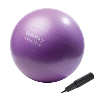 N�h�ad - Gymnastick� lopta HMS YB02N 65 cm fialov�