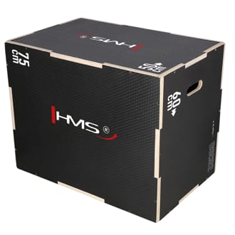 Plyo Box HMS DSC02 Plyo Box HMS DSC02