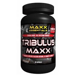 PVL Testosteron TRIBULUS MAXX
