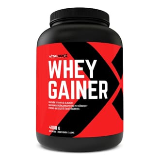 Vitalmax WHEY GAINER